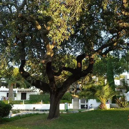 Balaia Luxury Apartmán Albufeira